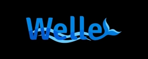 Welle