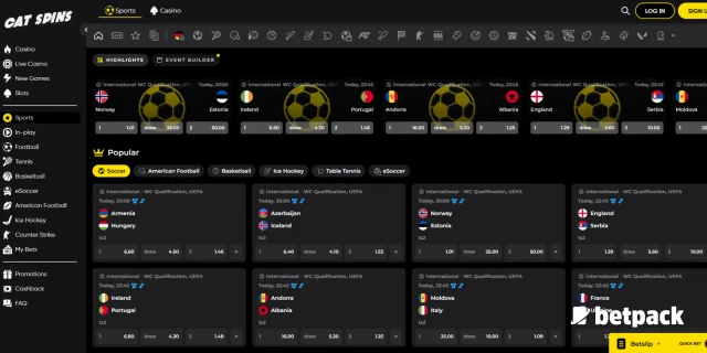 Cat Spins sports betting page