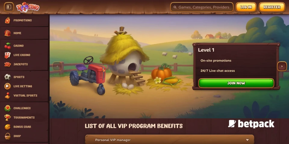 Roostino Casino VIP Program Overview