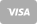 Visa icon